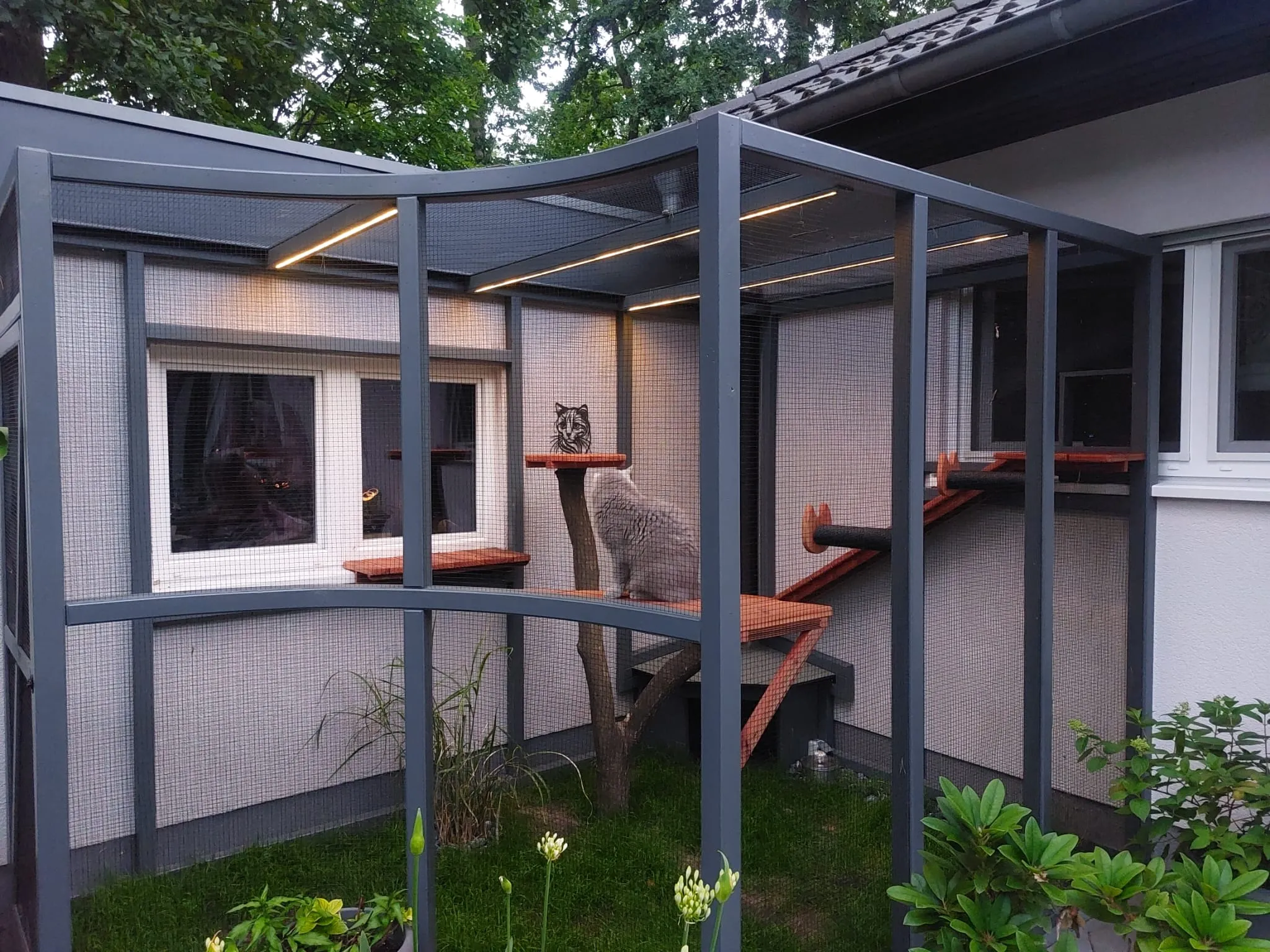 Katzengehege (Outdoor)